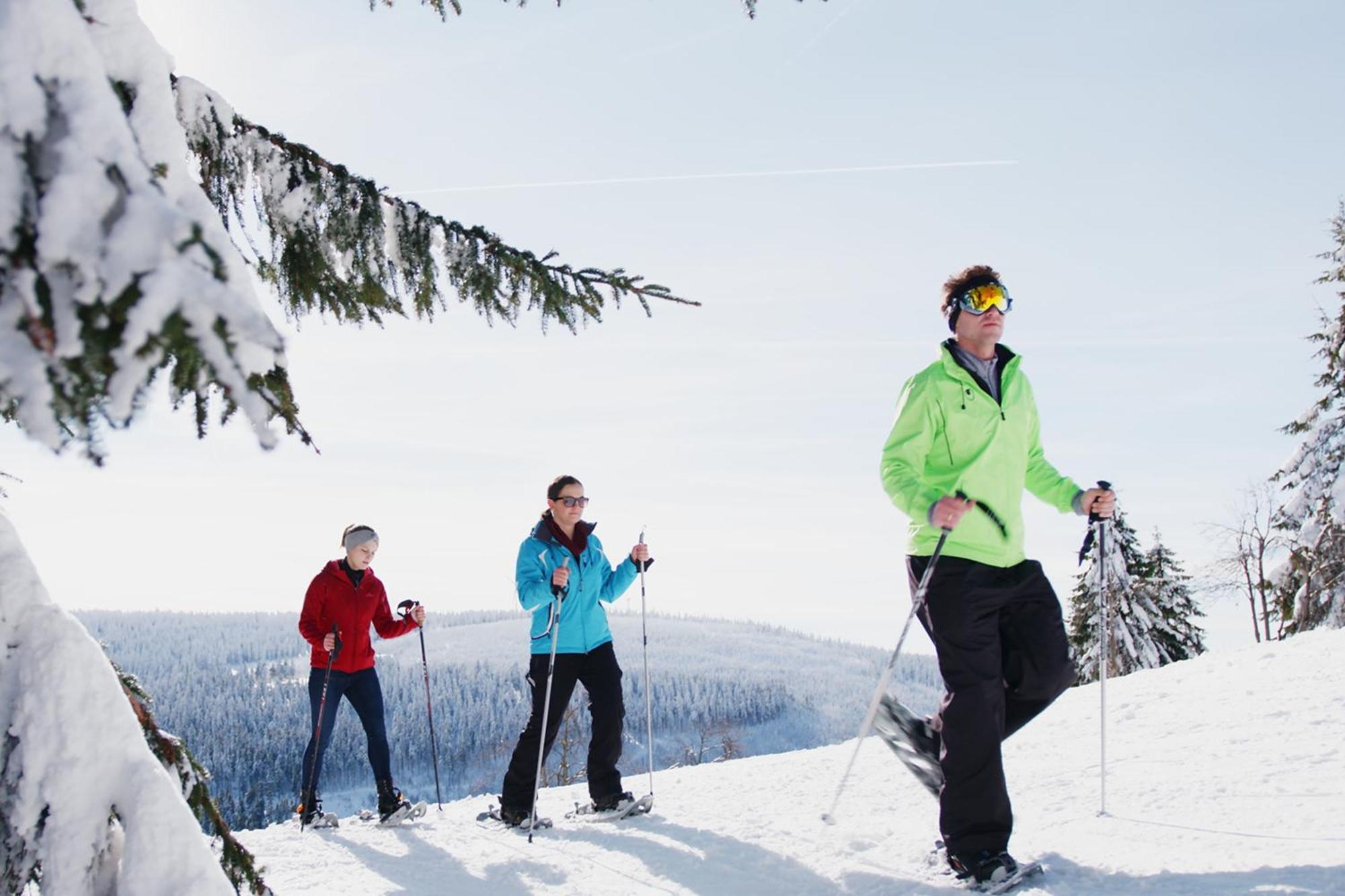 Ahorn Hotel Am Fichtelberg 오베르비젠탈 외부 사진