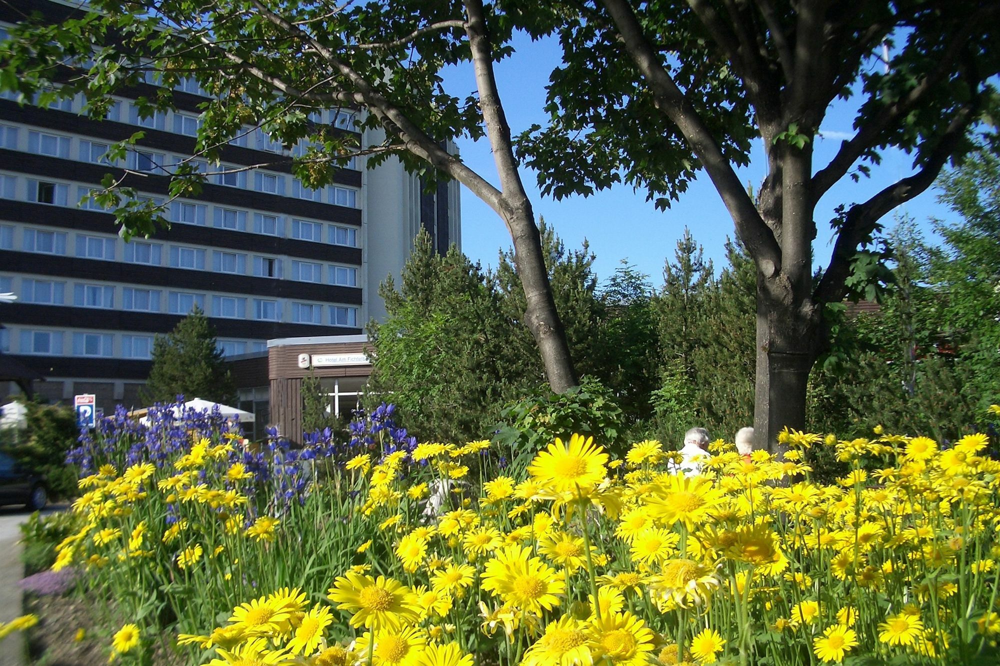Ahorn Hotel Am Fichtelberg 오베르비젠탈 외부 사진